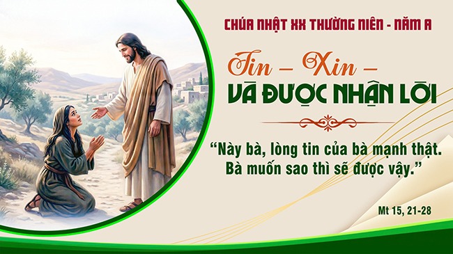 CN20TNA copy CN20TNA copy