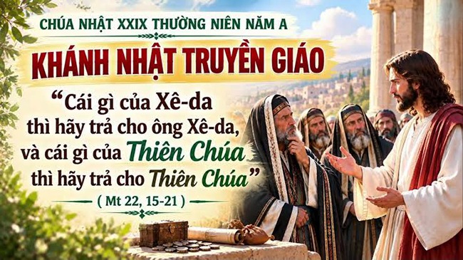 CN29TNA copy